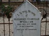 image number 30 Alexander Glanville McCallum